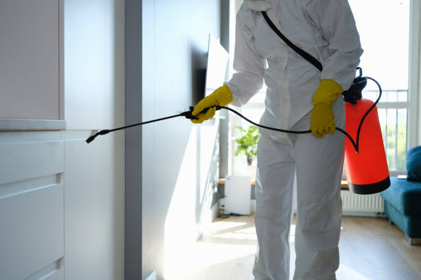 Best Mold Remediation  in Central City, IL