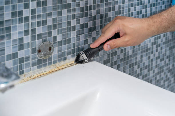 Best Mold Damage Repair  in Central City, IL